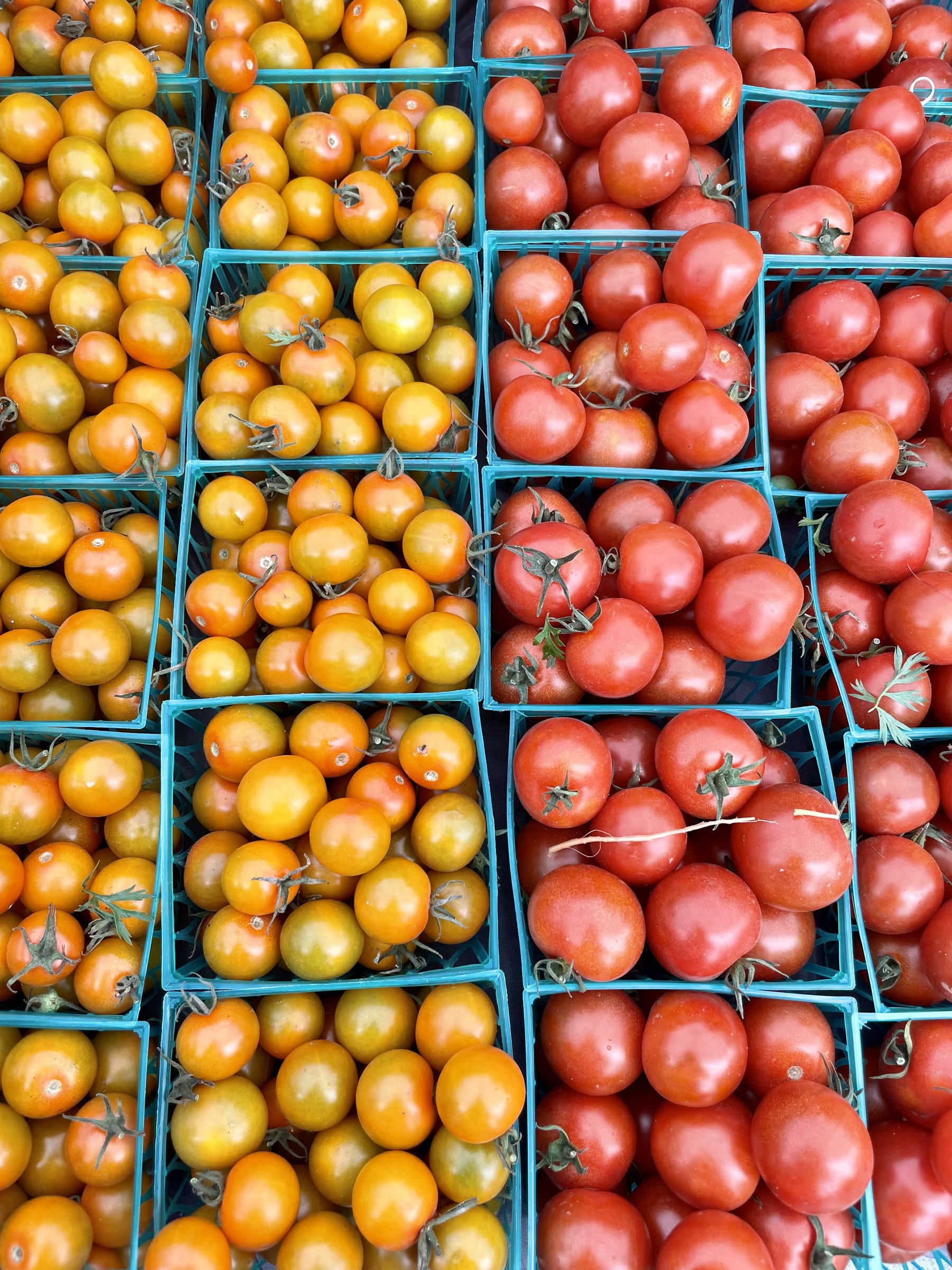 Cherry tomatoes at the farmers market